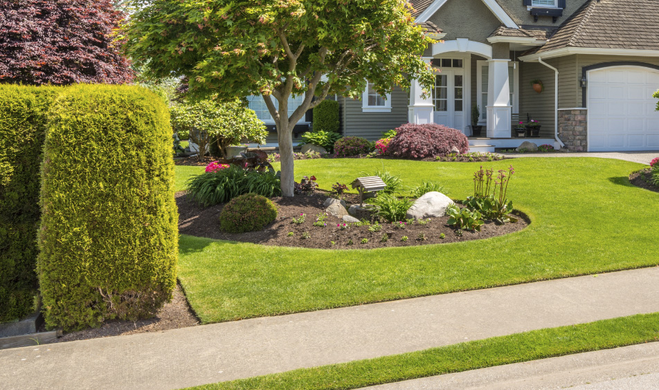 Enhanced Curb Appeal