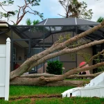 Tree Emergency