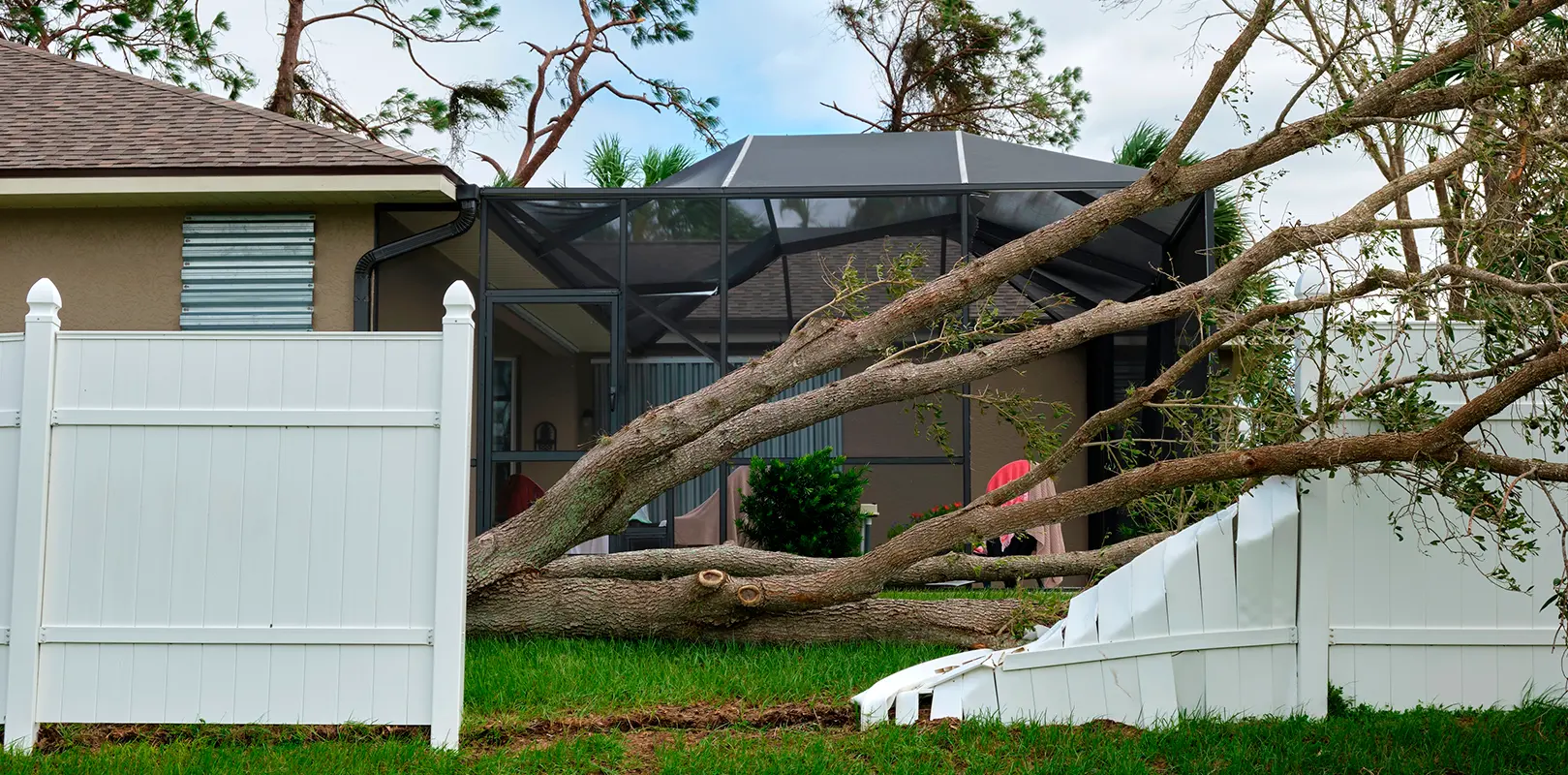 Tree Emergency