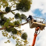 Tree Pruning
