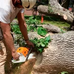 tree service